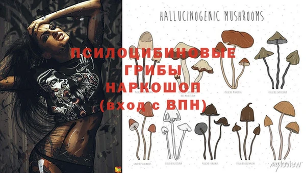 ALPHA PVP Арсеньев