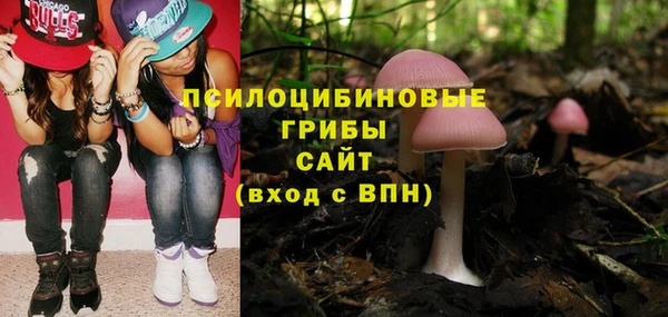 тгк Аркадак